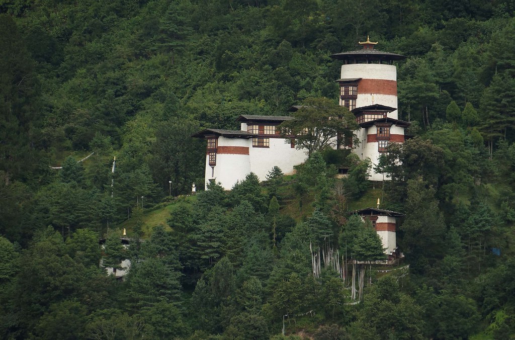 8192713988_4cc52b7755_b